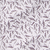 huckleberry branches / s