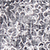 navy daisy / s